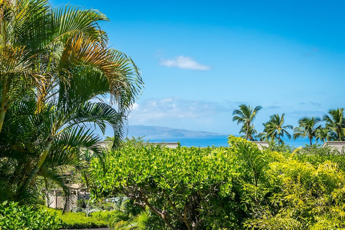Condo in Kihei · ★4.85 · 2 bedrooms · 3 beds · 2 shared baths - Photo 4