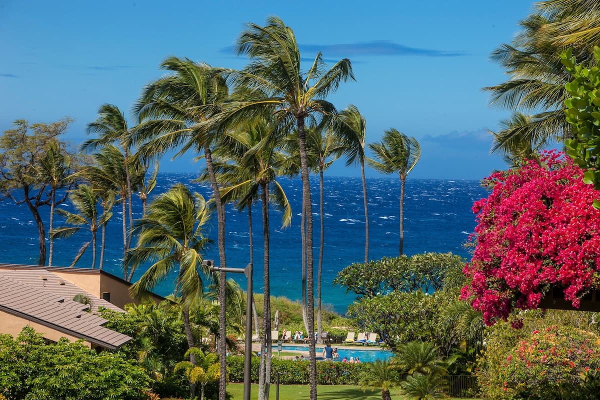 Condo in Kihei · ★4.96 · 1 bedroom · 2 beds · 2 baths - Photo 5