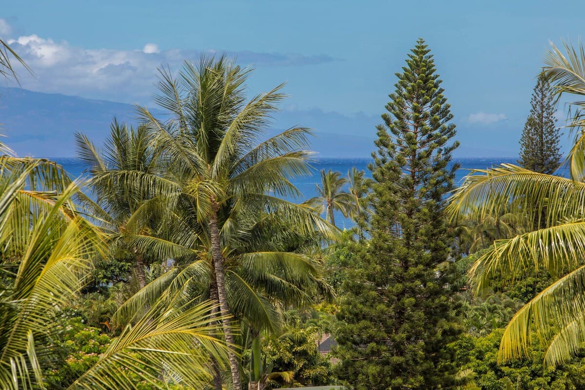Condo in Wailea · ★5.0 · 1 bedroom · 2 beds · 2 private baths - Photo 3