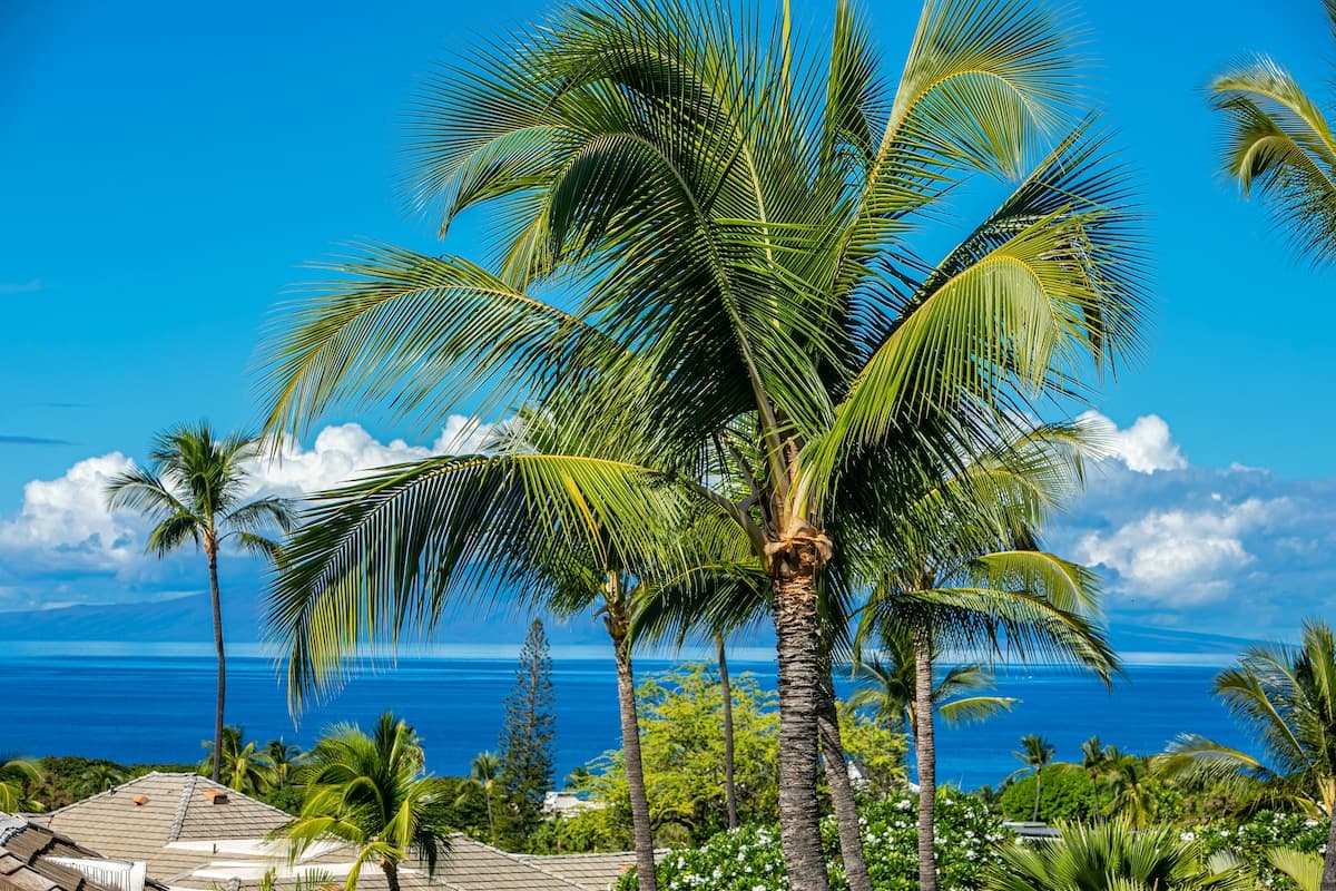 Condo in Wailea · ★4.83 · 2 bedrooms · 3 beds · 2 private baths - Photo 1