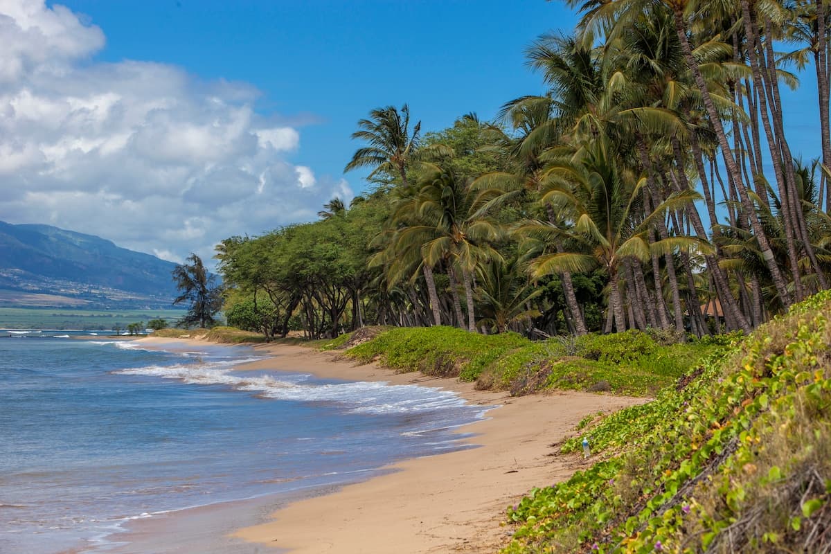 Condo in Kihei · ★4.86 · 1 bedroom · 2 beds · 1 private bath - Photo 1