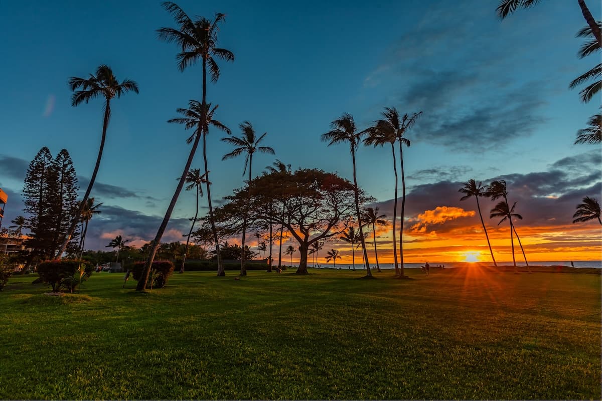 Condo in Kihei · ★4.97 · 1 bedroom · 1 bed · 1 bath - Photo 1