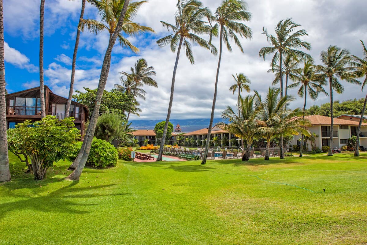 Condo in Kihei · ★4.94 · 1 bedroom · 1 bed · 1 private bath - Photo 4