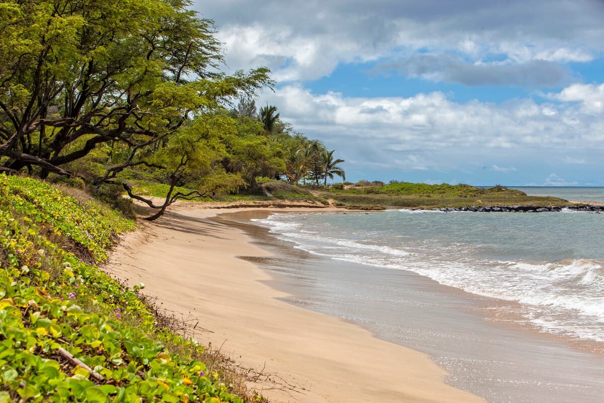 Condo in Kihei · ★4.78 · 1 bedroom · 2 beds · 1 private bath - Photo 3