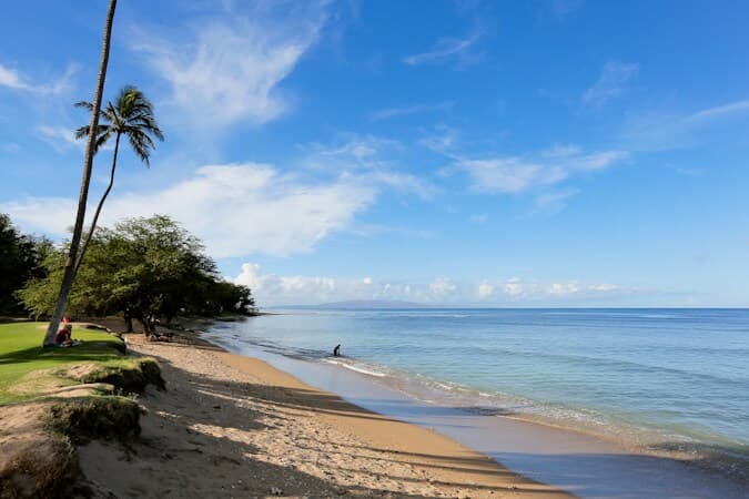Condo in Kihei · ★4.67 · 1 bedroom · 1 bed · 2 private baths - Photo 5