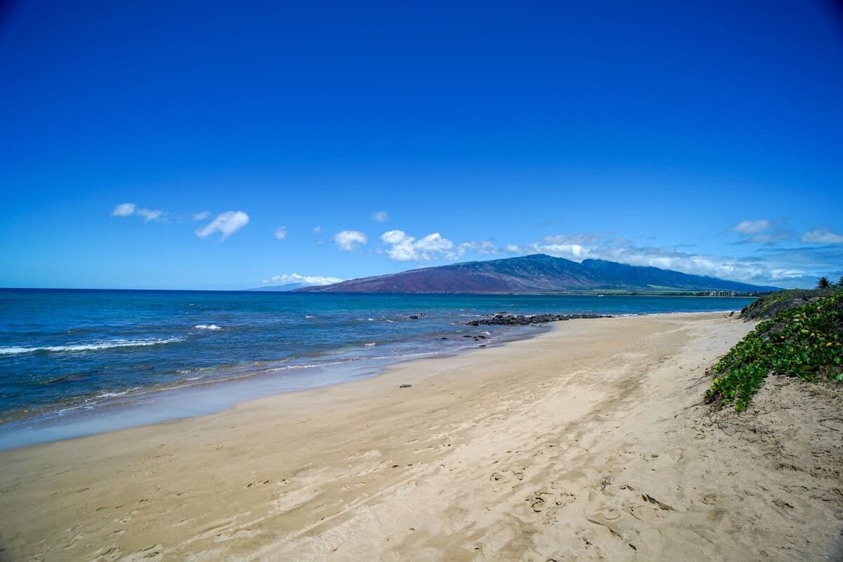 Condo in Kihei · ★4.63 · 1 bedroom · 1 bed · 1 private bath - Photo 3