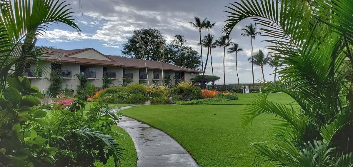 Condo in Kihei · ★4.88 · 1 bedroom · 2 beds · 1 bath - Photo 5