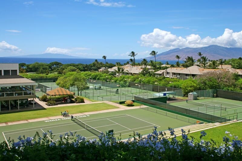 Condo in Wailea · ★4.14 · 2 bedrooms · 4 beds · 2 baths - Photo 4