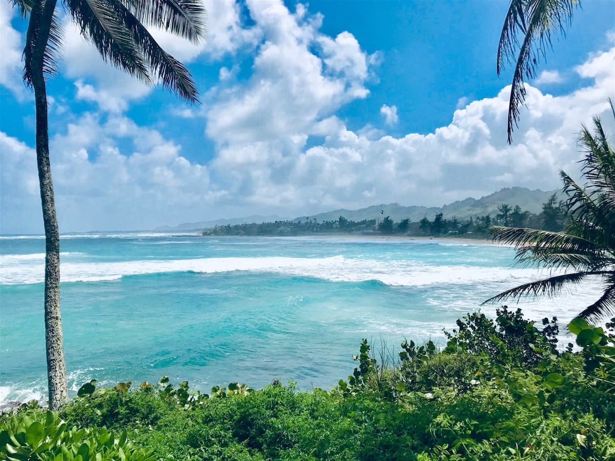 Condo in Kapaa · ★4.82 · 2 bedrooms · 3 beds · 2 baths - Photo 1