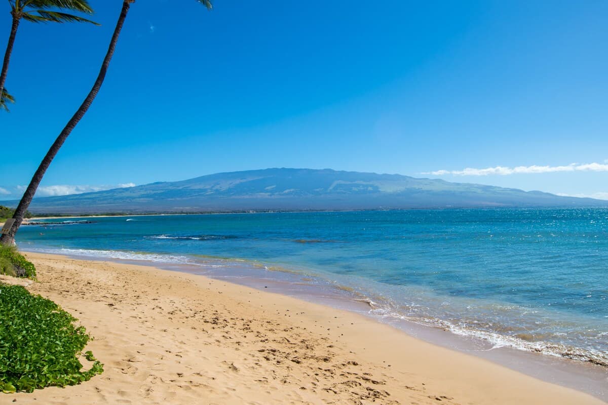 Condo in Maui County · ★4.57 · 1 bedroom · 1 bed · 1 private bath - Photo 3
