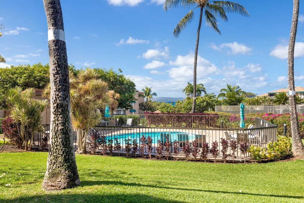 Condo in Kihei · ★4.71 · 1 bedroom · 1 bed · 1 bath - Photo 4
