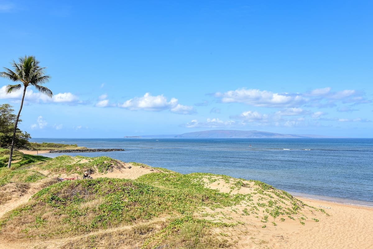 Condo in Kihei · ★4.89 · 3 bedrooms · 3 beds · 3 baths - Photo 4