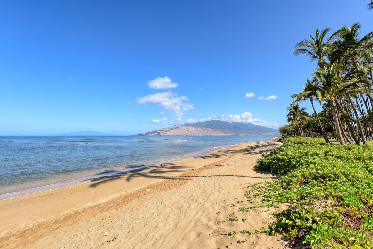 Condo in Kihei · ★5.0 · 3 bedrooms · 3 beds · 3 baths - Photo 3