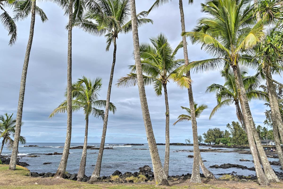 Home in Hilo · ★4.67 · 2 bedrooms · 2 beds · 1 shared bath - Photo 2