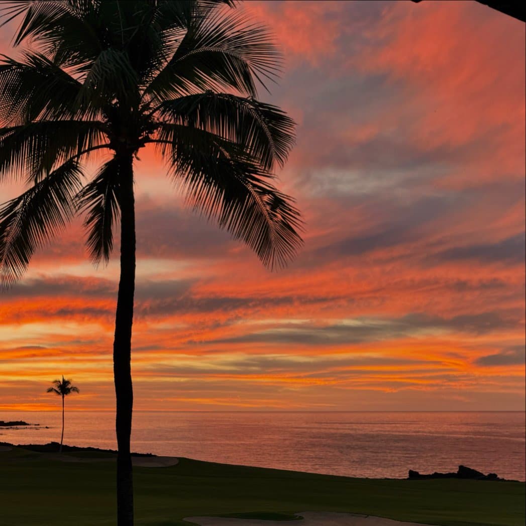 2BR Breathtaking Ocean Views in Mauna Lani Point - Photo 1