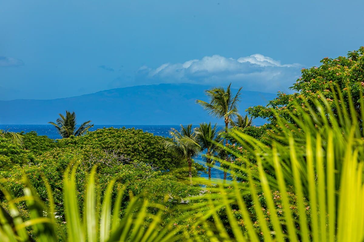Villa in Kihei · ★4.88 · 3 bedrooms · 4 beds · 3.5 baths - Photo 4