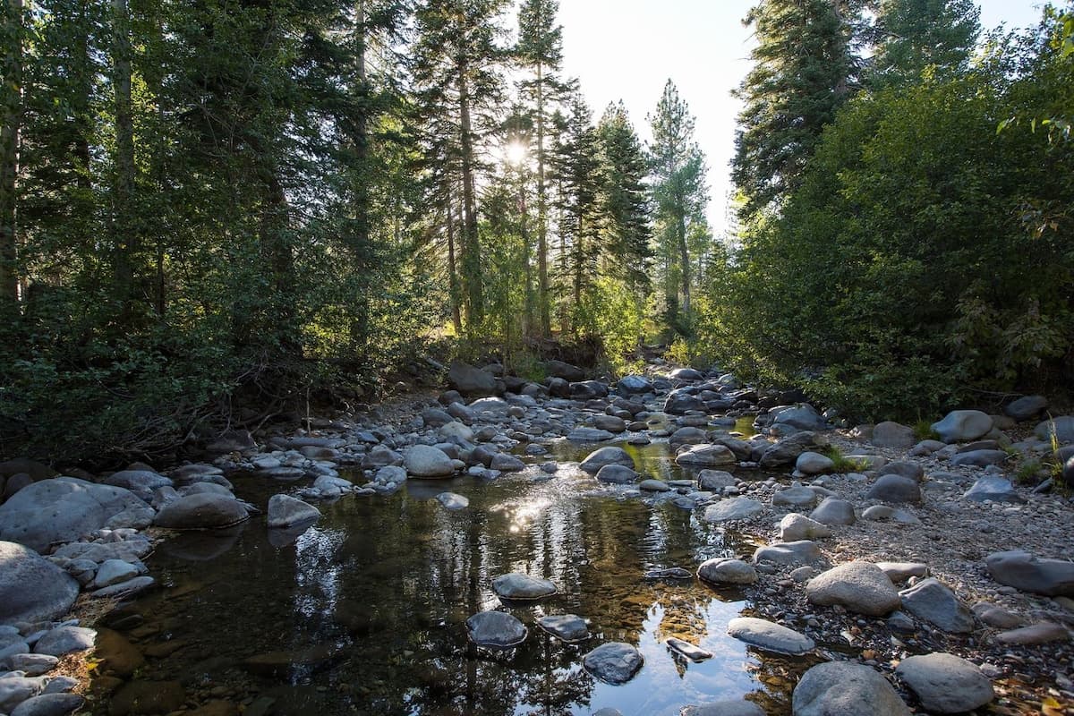 Ward Creek Retreat Classic Tahoe Cabin by Trails - Photo 3