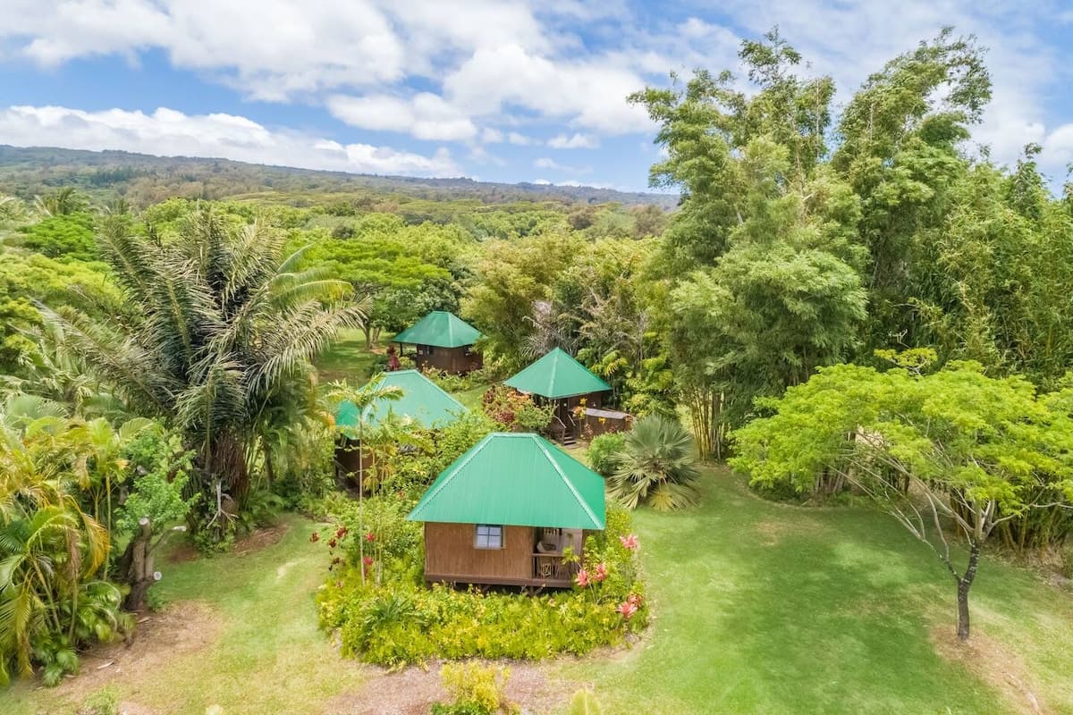 Cabin in Kapaau · ★4.88 · 1 bedroom · 1 bed · 1 shared bath - Photo 4