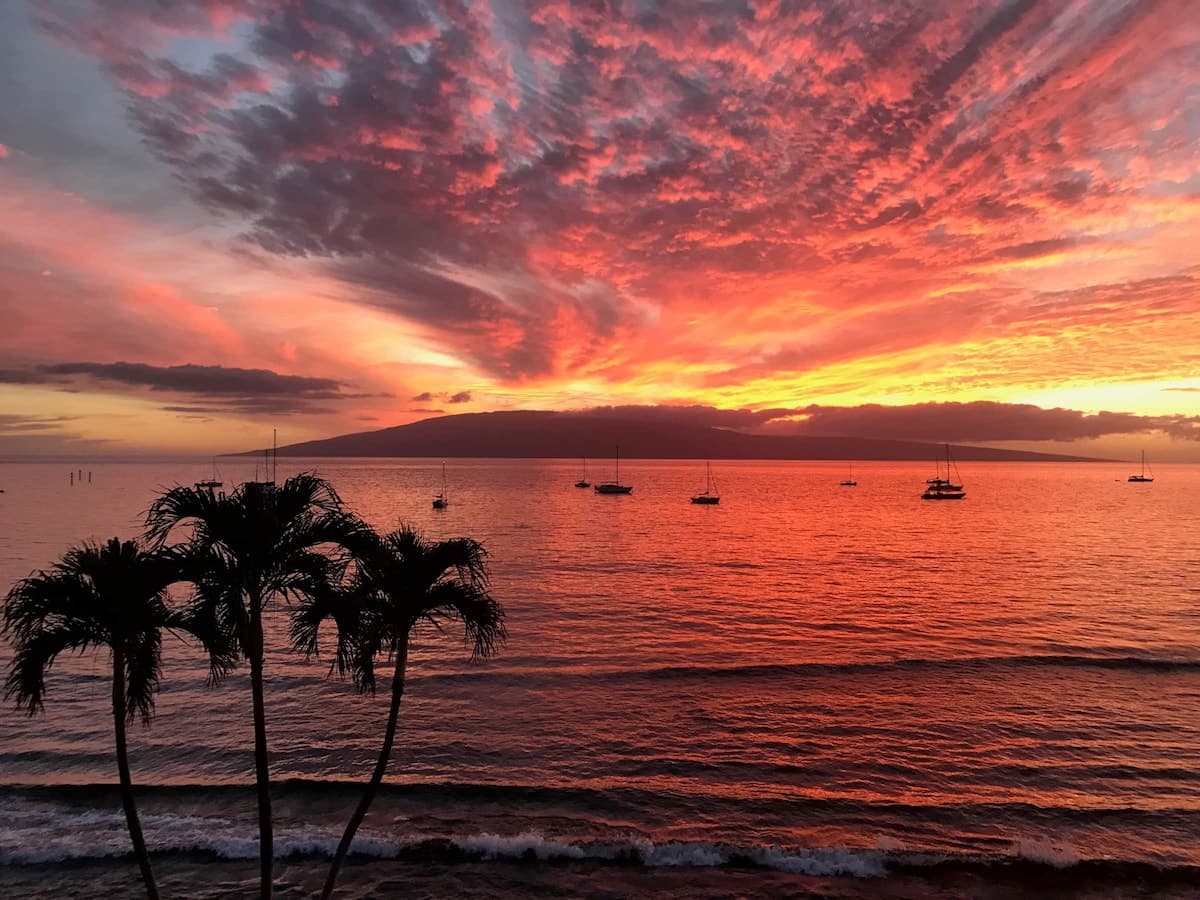 Hotel in Lahaina · ★4.89 · 1 bedroom · 2 beds · 1 private bath - Photo 1
