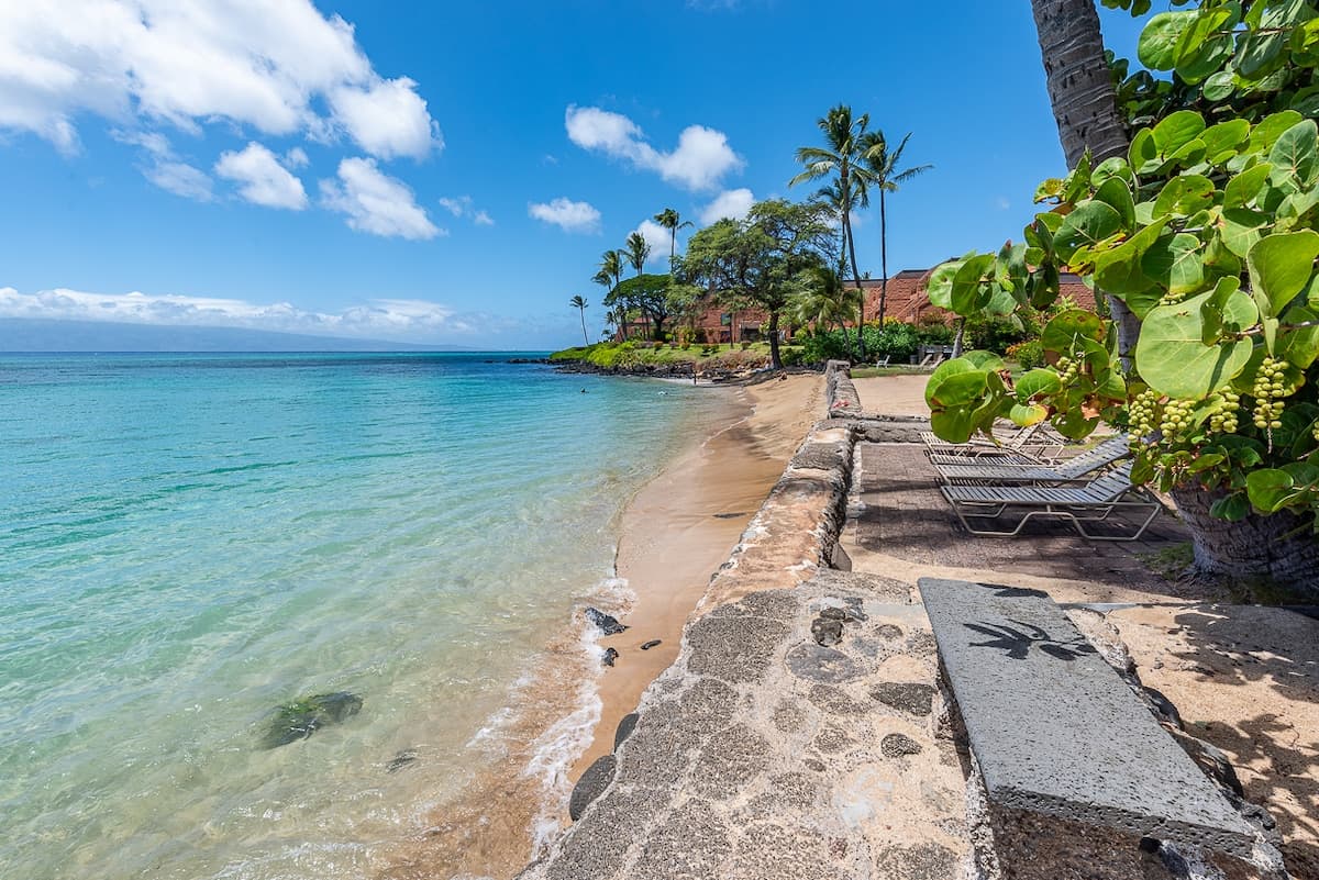 Condo in Lahaina · ★4.91 · 2 bedrooms · 3 beds · 1 bath - Photo 1