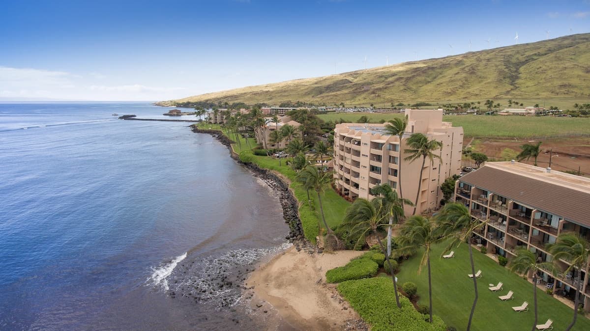 Condo in Wailuku · ★4.66 · 2 bedrooms · 3 beds · 2 shared baths - Photo 2