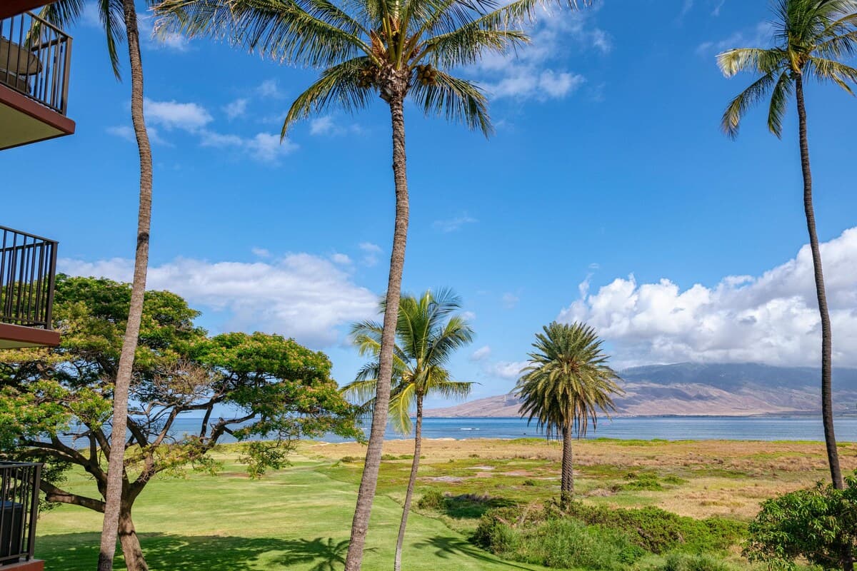 Condo in Kihei · ★4.88 · 2 bedrooms · 2 beds · 2 baths - Photo 3