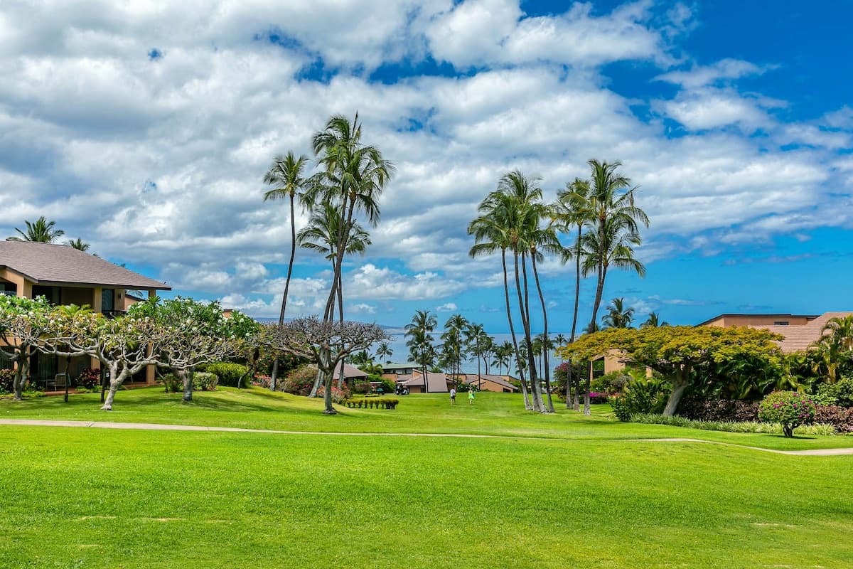 Condo in Kihei · ★4.71 · 1 bedroom · 2 beds · 2 baths - Photo 4