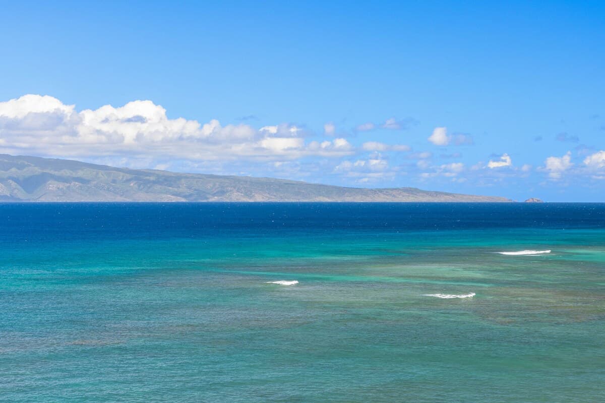 Condo in Lahaina · ★4.77 · 1 bedroom · 2 beds · 1 private bath - Photo 2