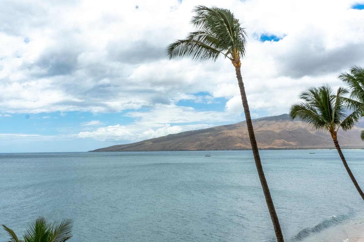 Condo in Kihei · ★4.5 · 1 bedroom · 2 beds · 1 private bath - Photo 3