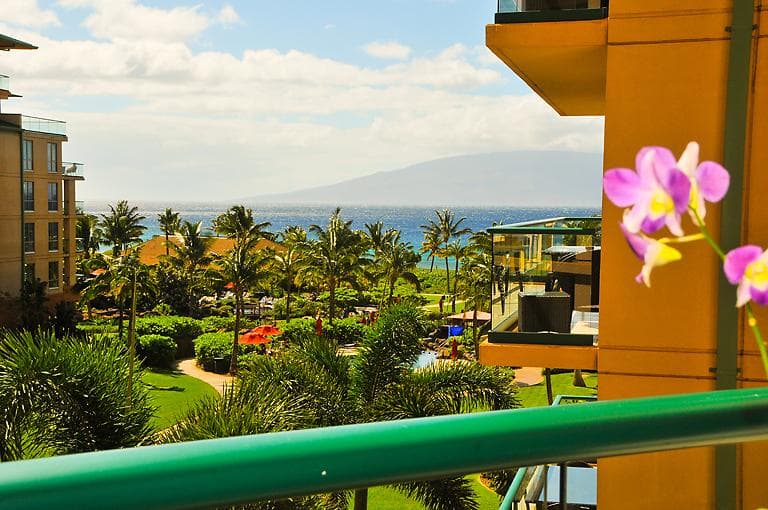 Condo in Lahaina · ★4.91 · 1 bedroom · 2 beds · 1 bath - Photo 1