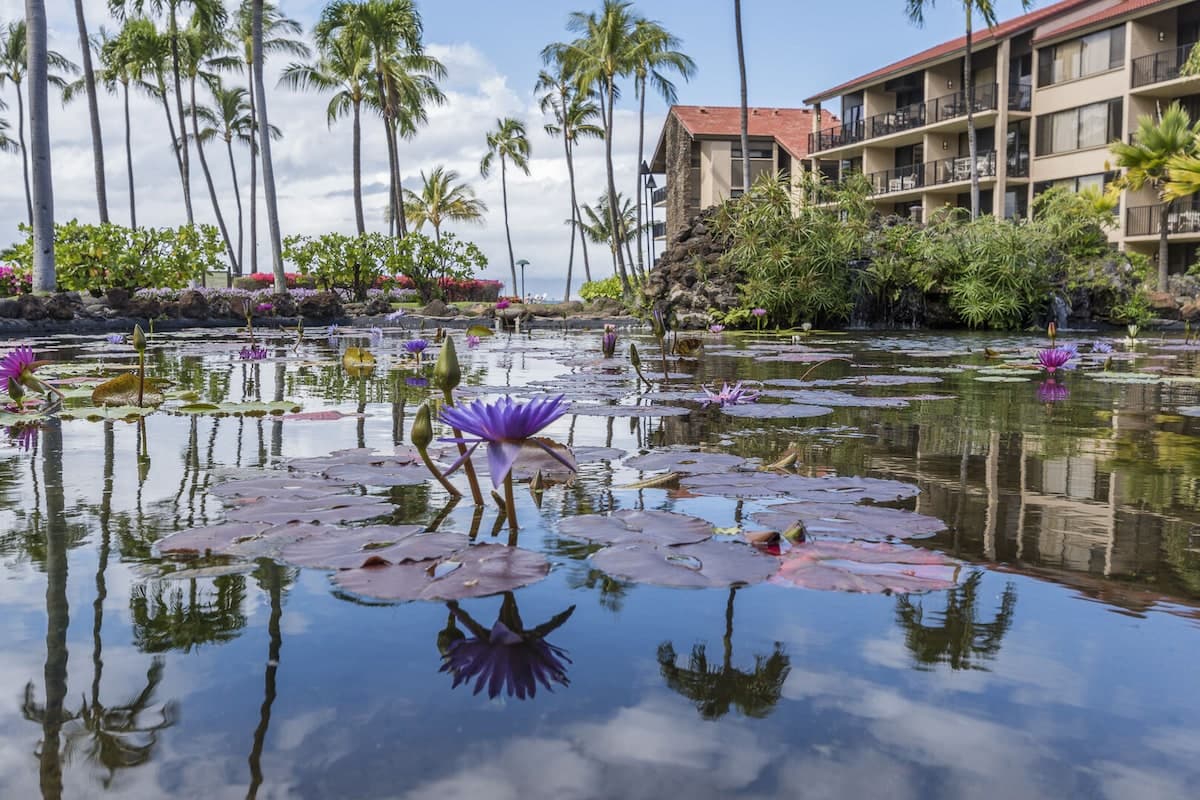 Condo in Lahaina · ★4.93 · 2 bedrooms · 4 beds · 2 baths - Photo 1
