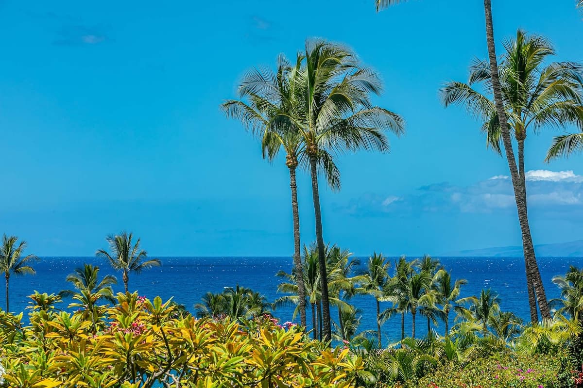 Condo in Kihei · ★4.93 · 2 bedrooms · 4 beds · 2 baths - Photo 3