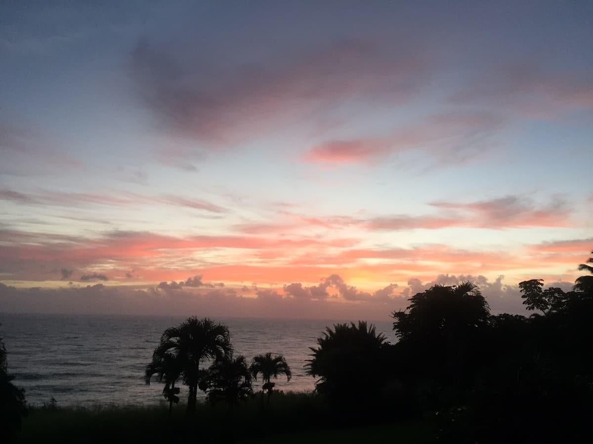 Home in Papaaloa · ★4.82 · 4 bedrooms · 6 beds · 2 private baths - Photo 4
