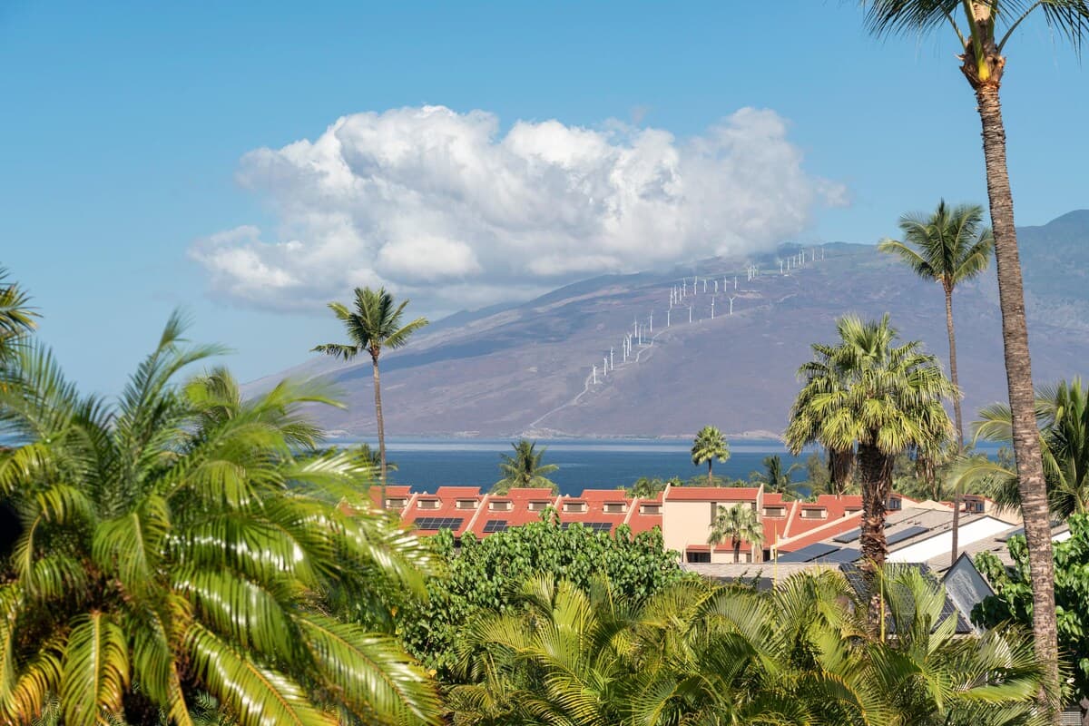 Condo in Kihei · ★4.98 · 1 bedroom · 2 beds · 2 private baths - Photo 5