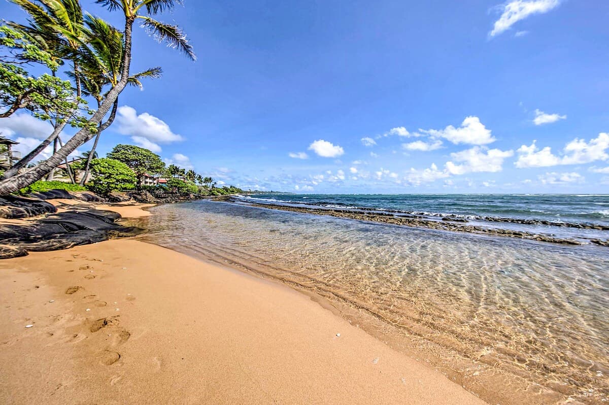 Condo in Kapaa · ★4.77 · 2 bedrooms · 2 beds · 1 shared bath - Photo 3