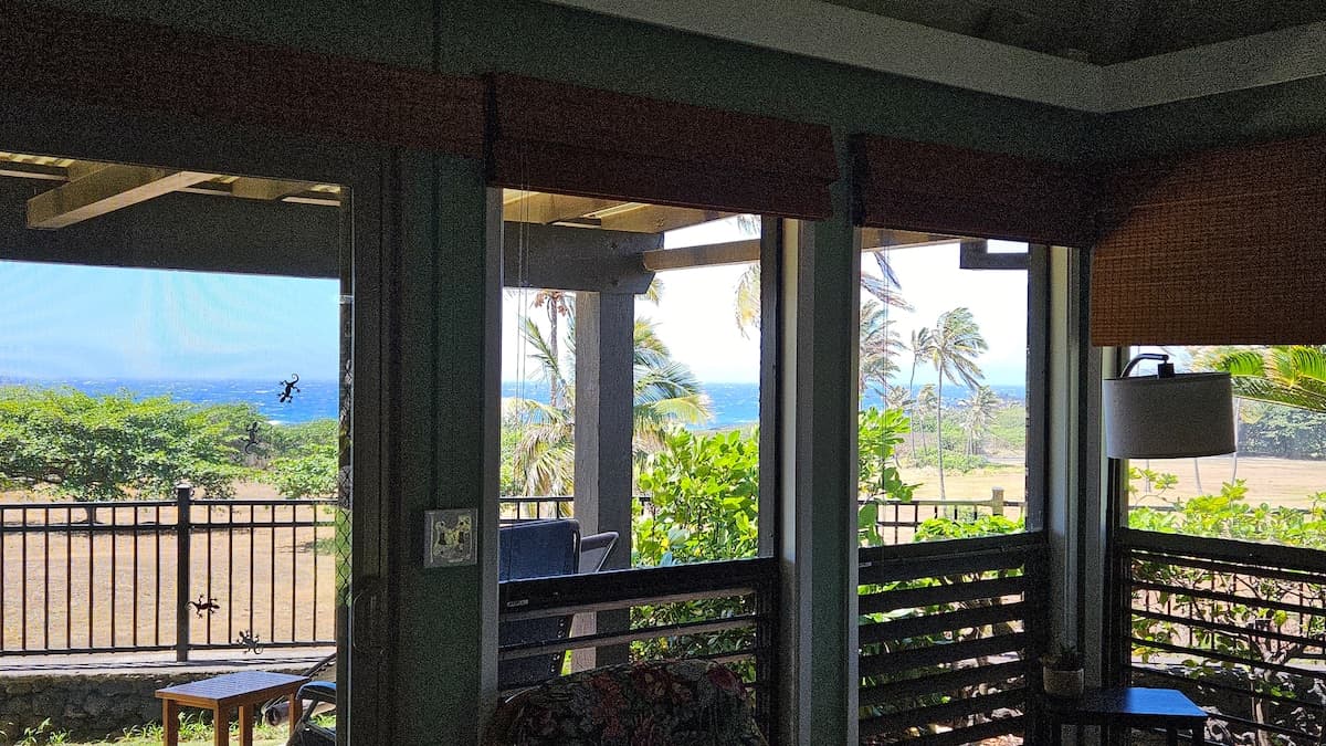 Condo in Naalehu · ★4.85 · Studio · 2 beds · 1 private bath - Photo 2