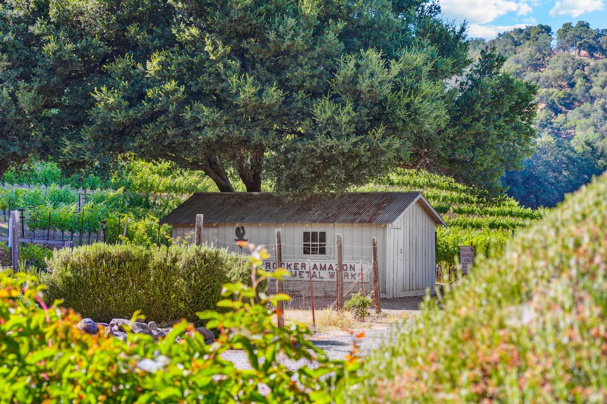 Historic Farmhouse with Vineyard Views - Photo 3