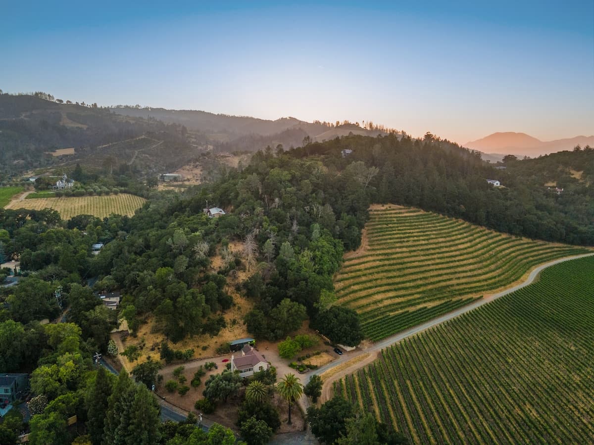 Historic Farmhouse with Vineyard Views - Photo 2