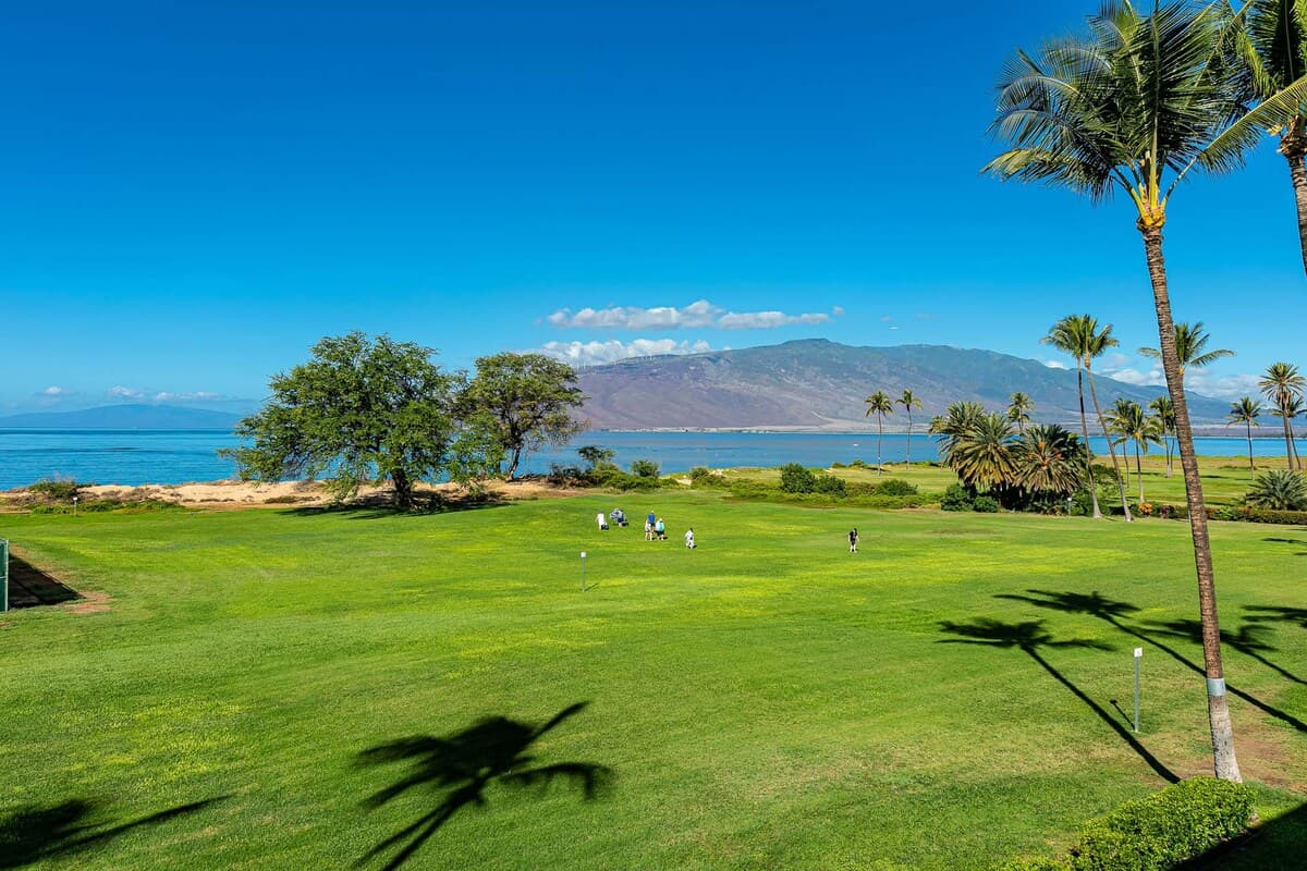 Condo in Kihei · ★4.77 · 2 bedrooms · 4 beds · 2 shared baths - Photo 5