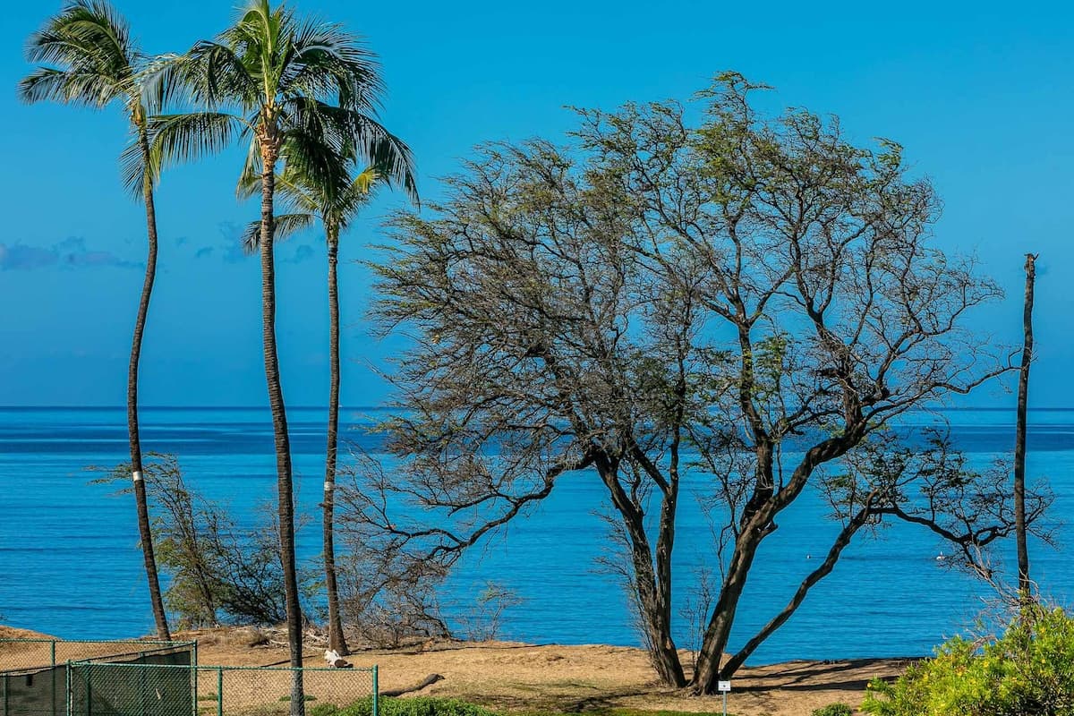 Condo in Kihei · ★4.77 · 2 bedrooms · 4 beds · 2 shared baths - Photo 3