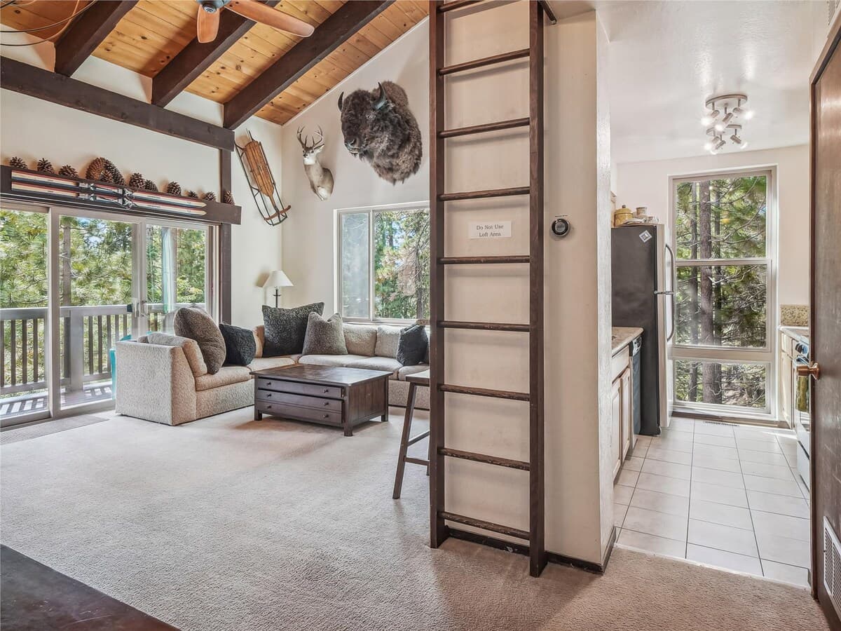 Sun-Drenched Forest Retreat with Fireplace - Photo 5