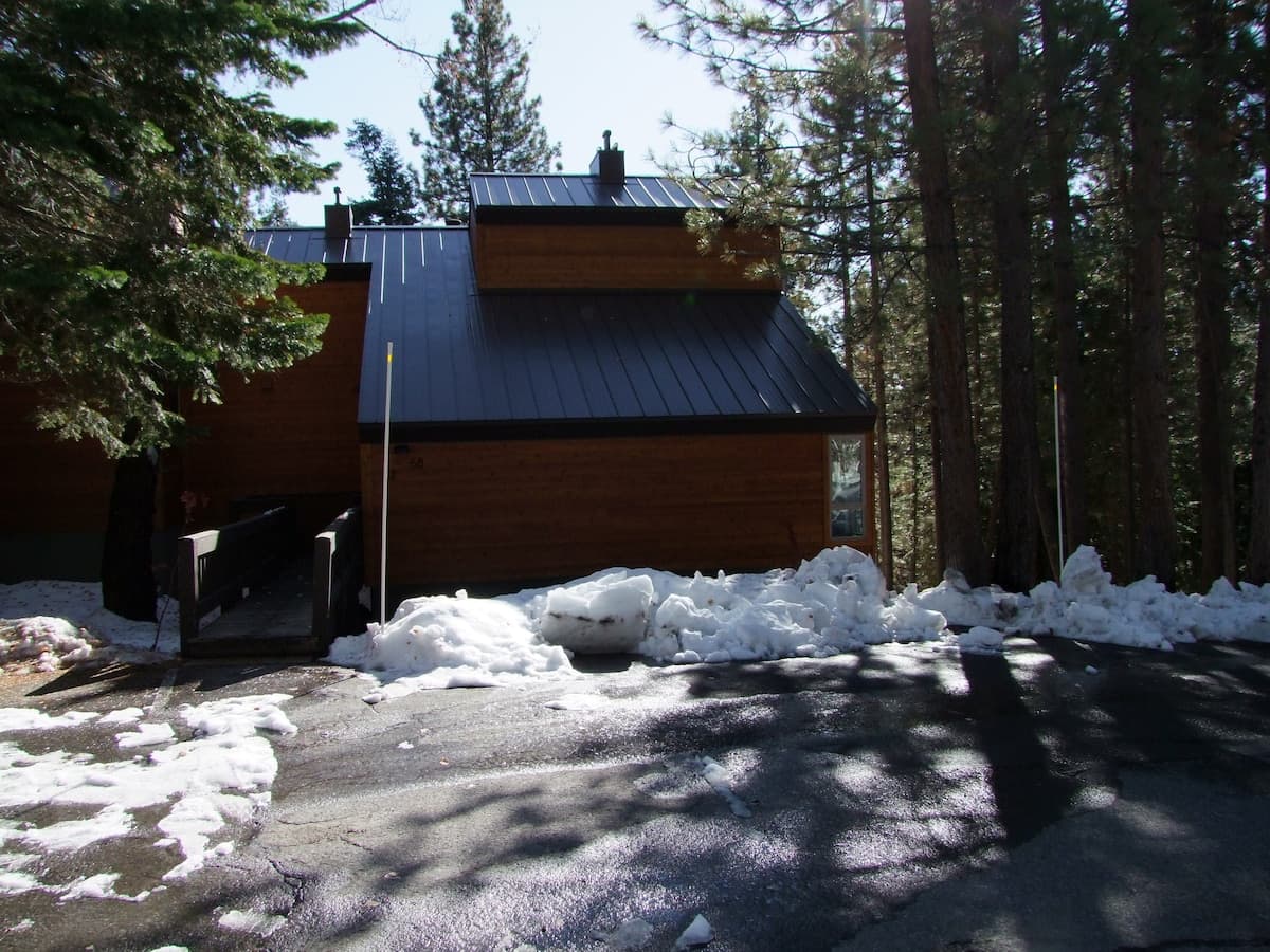 Sun-Drenched Forest Retreat with Fireplace - Photo 2