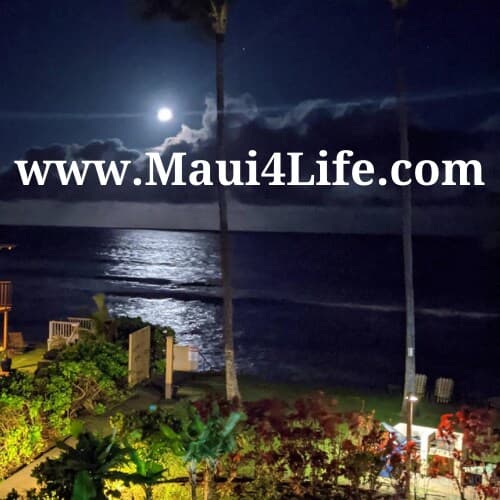 Stunning Sunsets and Direct Oceanviews at Paki Mau - Photo 2