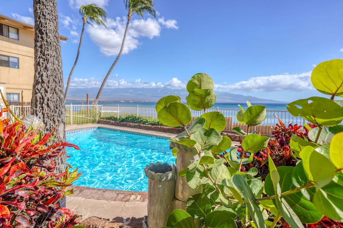 Condo in Wailuku · ★4.66 · 1 bedroom · 1 bed · 1 bath - Photo 1