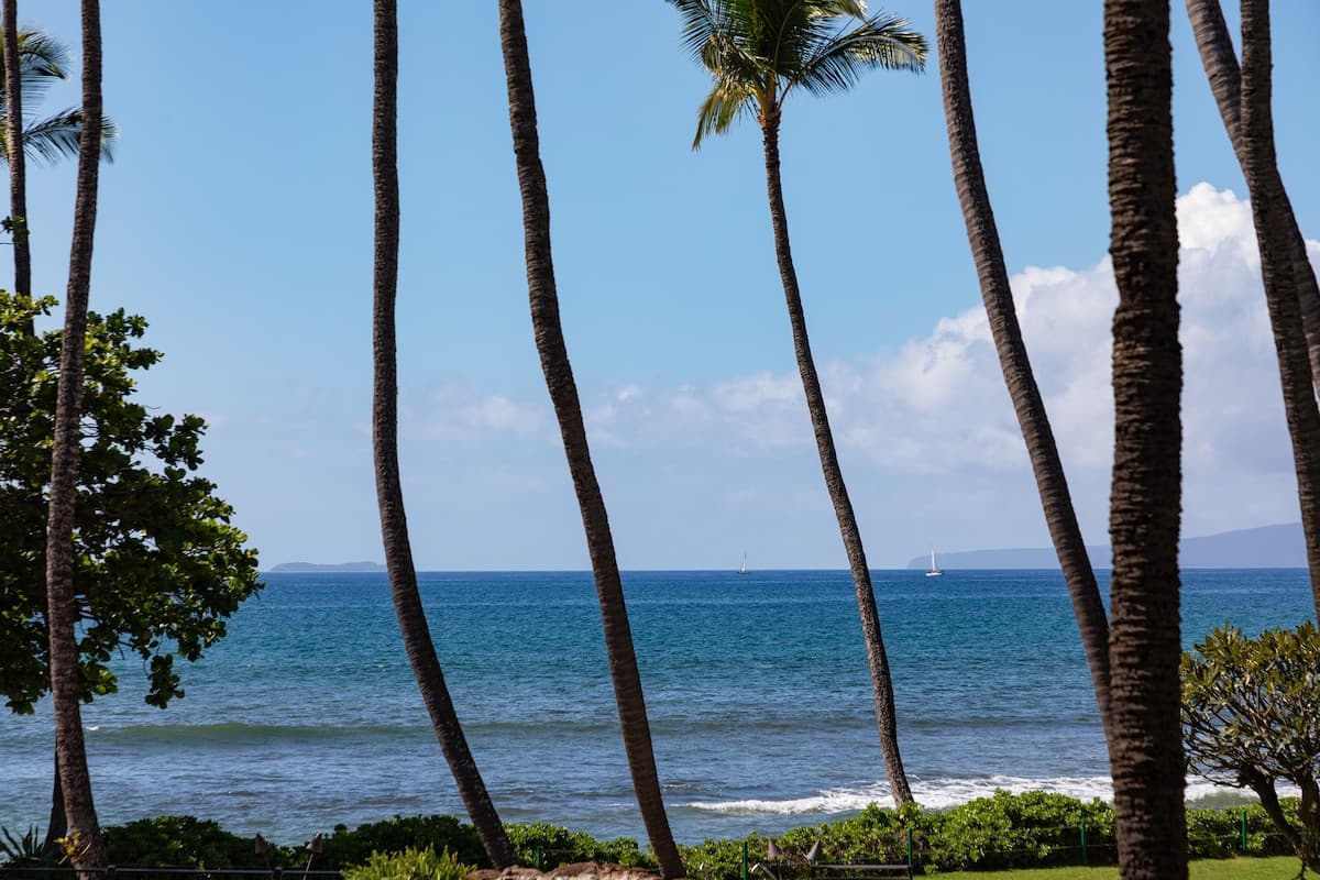 Condo in Wailuku · ★4.88 · 2 bedrooms · 2 beds · 2 shared baths - Photo 1