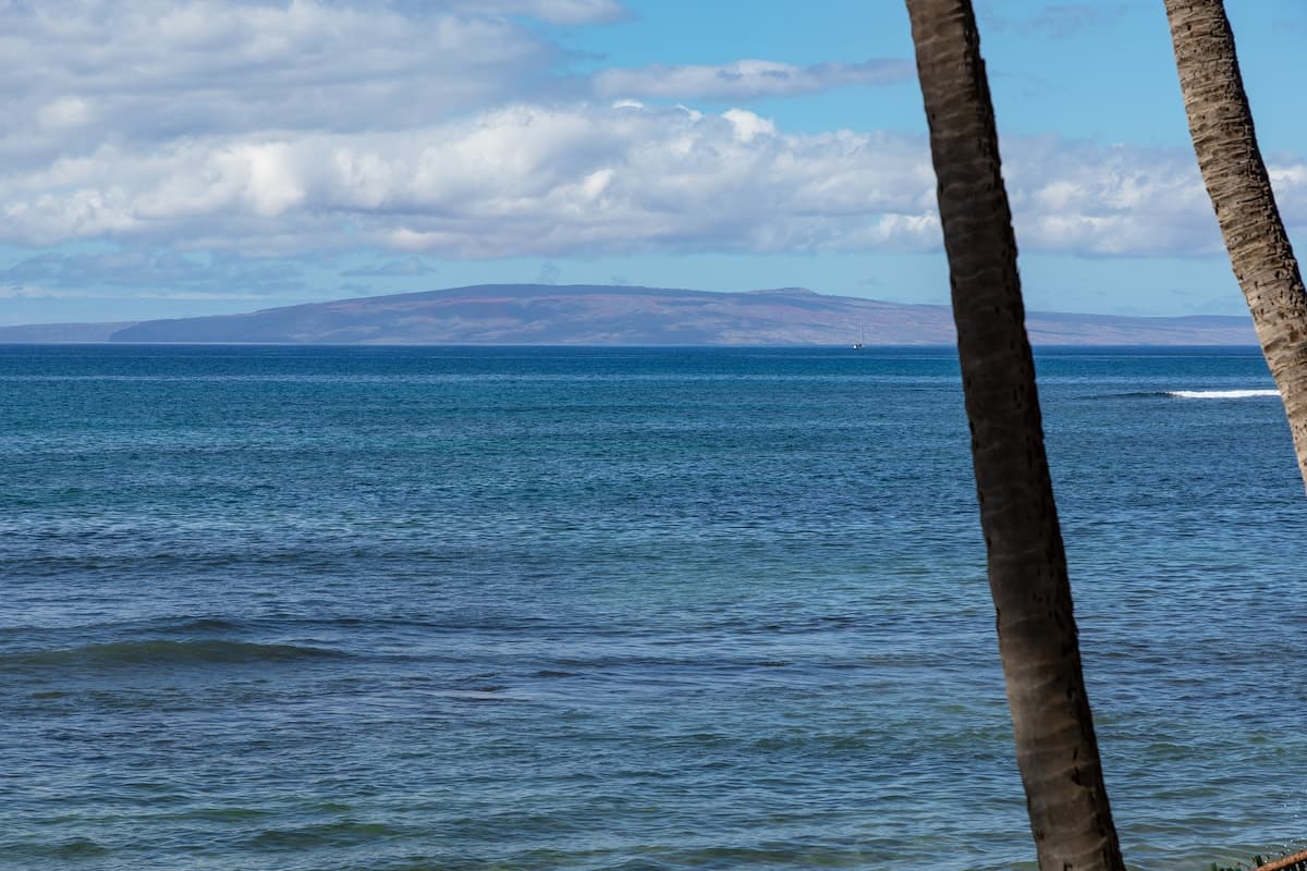 Condo in Wailuku · ★4.88 · 2 bedrooms · 2 beds · 2 shared baths - Photo 3