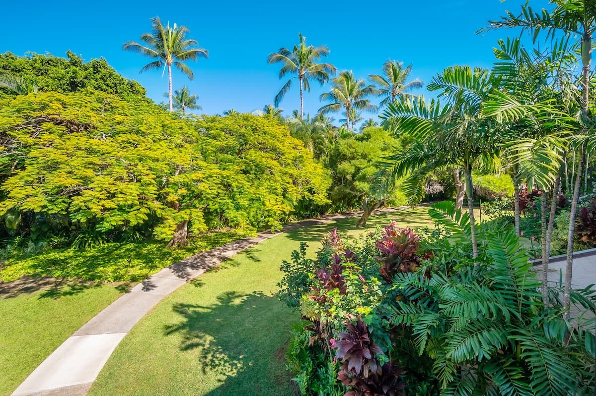 Condo in Koloa · ★4.74 · 1 bedroom · 1 bed · 1 bath - Photo 1