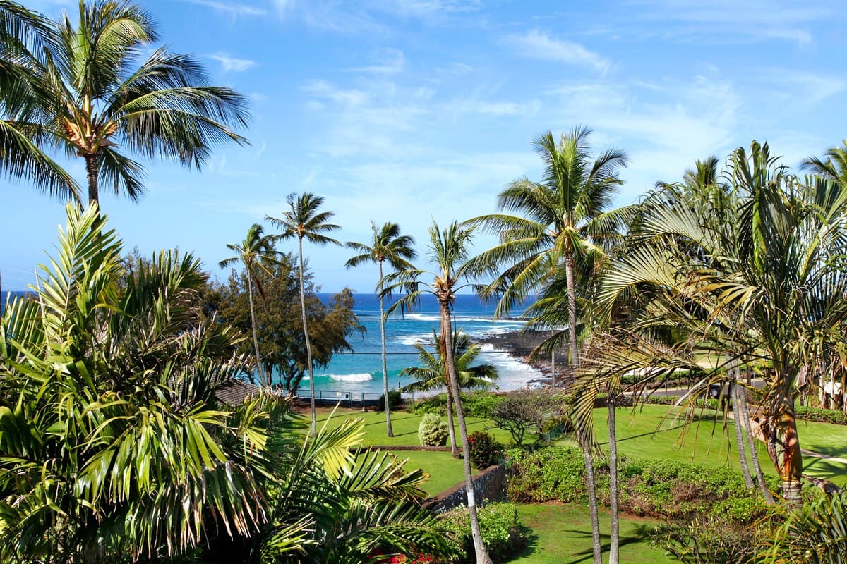 Condo in Koloa · ★4.61 · 2 bedrooms · 3 beds · 2 baths - Photo 3