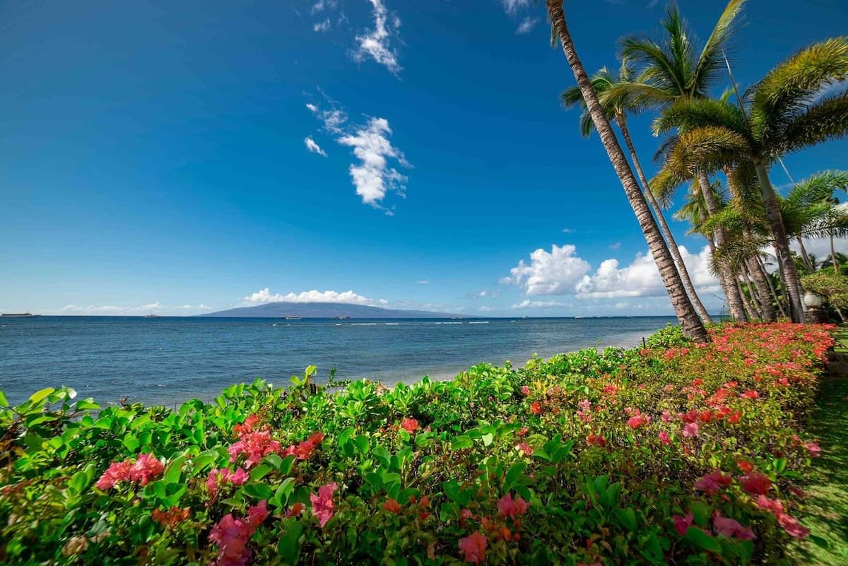 Lahaina Shores Beach Resort Studio - Photo 2