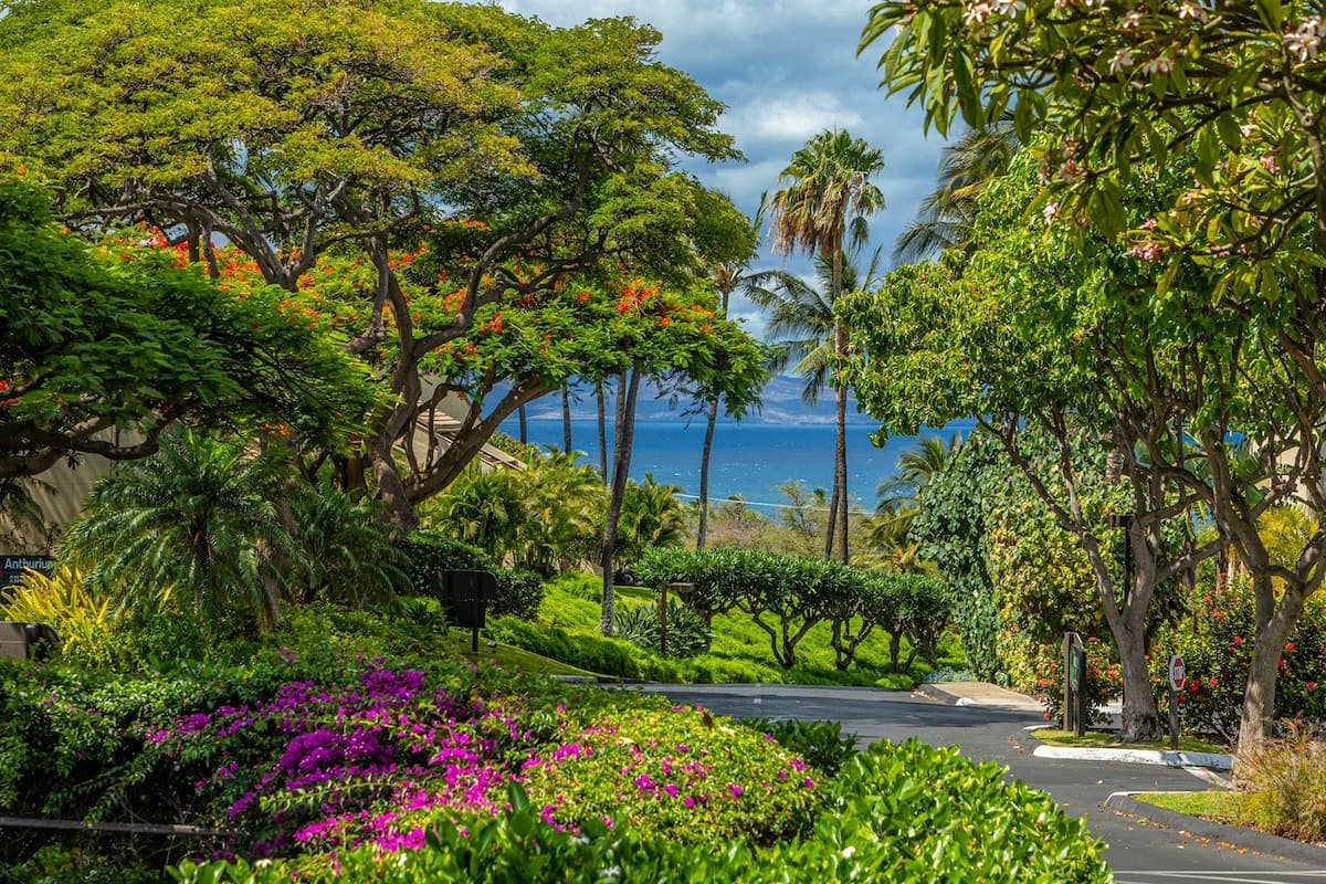 Ocean View+A/C, Walk to Beach + Pool - Photo 1